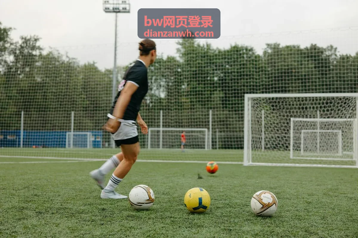 bw网页登录密码找回流程说明配图